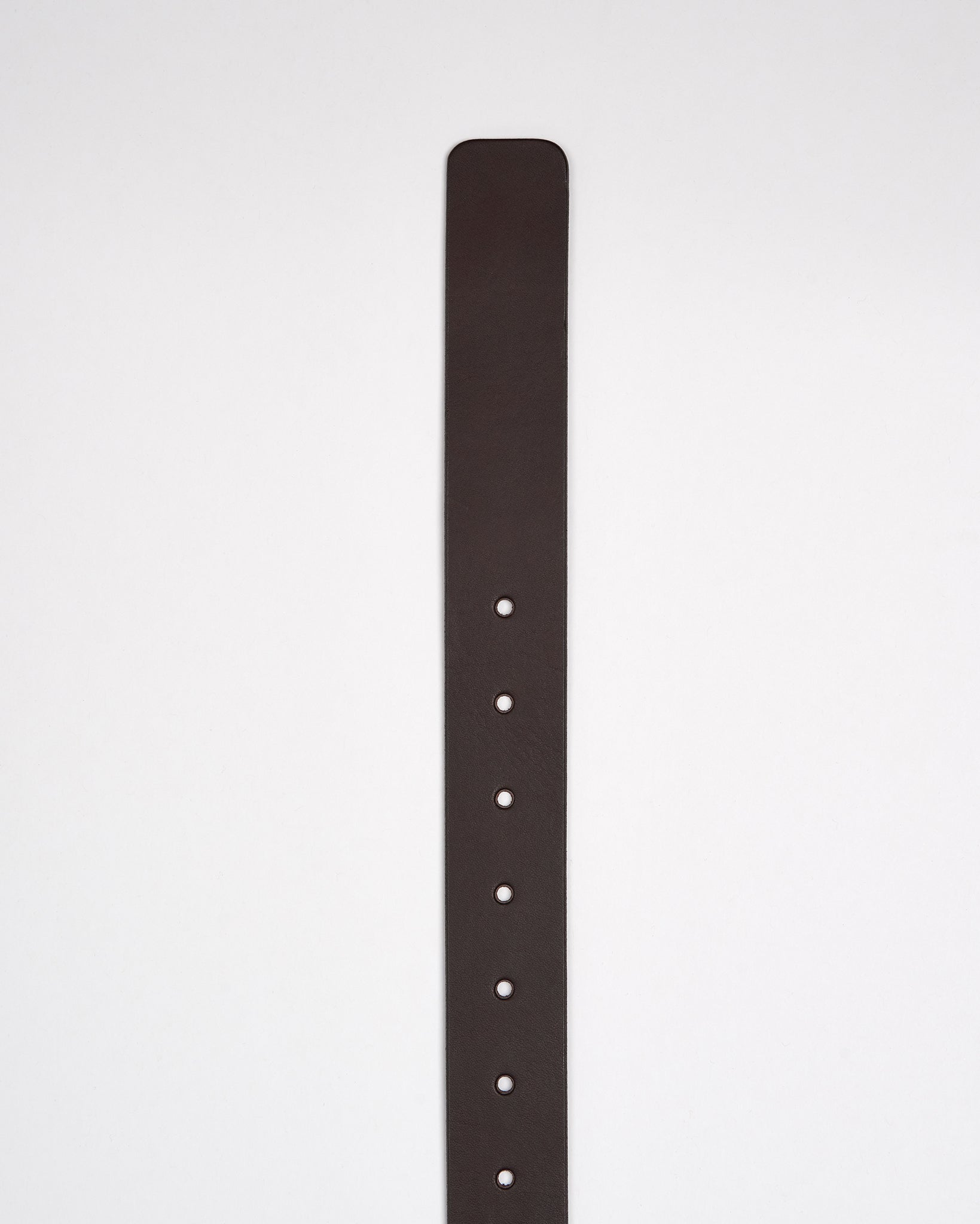 Modernist Exposed Belt - Chocolate Brown / Brown