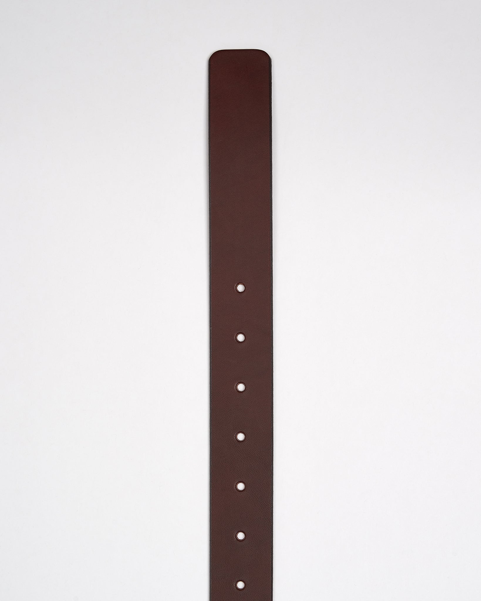Modernist Belt - Russet Brown / Brown